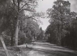 Schönfelder Hochfläche : Radeberg-Schönfelder Hochfläche. Fischbacher Wald. Staatsstraße Dresden-Bautzen