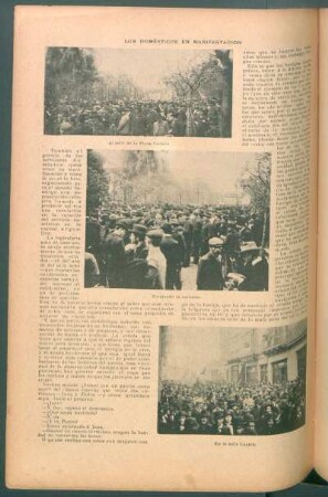 Los domésticos en manifestación