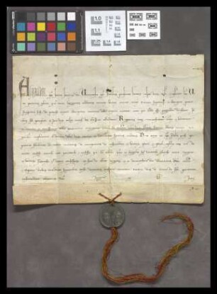 Mainz (Franziskaner): Bulle des Papstes Alexander IV. die Minoriten betreffend