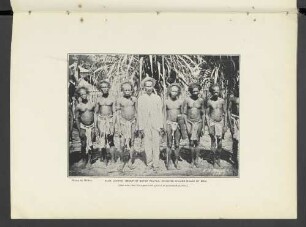 Plate LXXXVII.