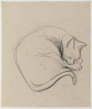Schlafende Katze III
