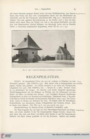 ⟦Regenpeilstein⟧