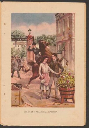 Esta mujer te ama...es rica....es poderosa. - [Ilustración para el anuncio de la publicación de "La honra de los pobres"]