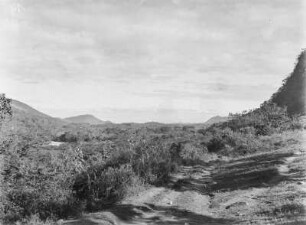 Vegetationsansicht : Vegetation eines Gebirges