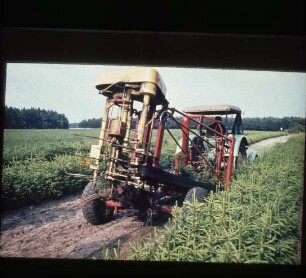 Fotografie: Forsttechnik, Erntetechnik, Erntemaschine, Pflanzenzucht