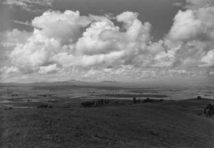Höhenlandschaftspanorama : Hochland mit Einzelbaumvegetation bei Addis Abeba.