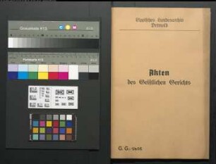 Anna Ilsabein Papenmeyer aus Tintrup (Amt Blomberg) gegen Christoph Vögding [Vögeding, Vögting, Vogt] in Tintrup, wegen einer Eheklage