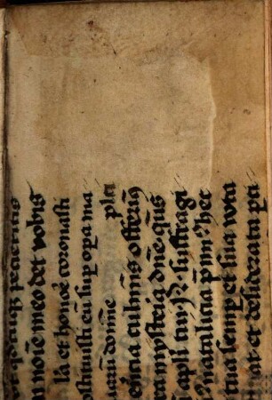 Consolatorium timorate conscientie venerabilis fratris Johannis Nyder sacre theologie p[ro]fessoris eximij de ordine predicatorum