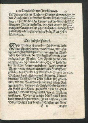 Der sechste Punct.