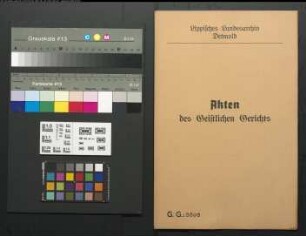 Meyersche Hofbuchhandlung in Detmold gegen den Schullehrer Tappe in Pivitsheide, wegen einer Geldforderung