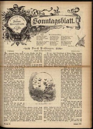 Ausgabe vom Sonntag, den 02. September 1900.