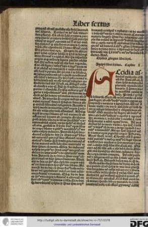 Incipit liber sextus, capitulum I.
