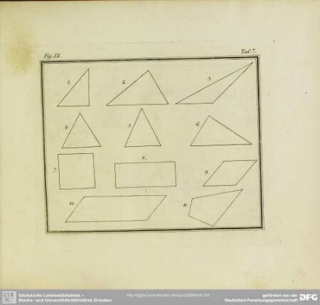 Fig. IX