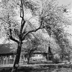 Spreewald. Historisches Wohnhaus