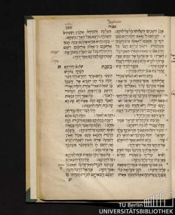 Zephania