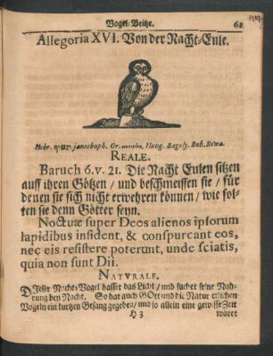 Allegoria XVI. Von der Nacht-Eule.