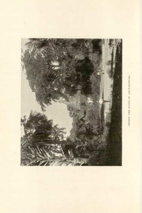 Admist the ruins of Amaurapoora
