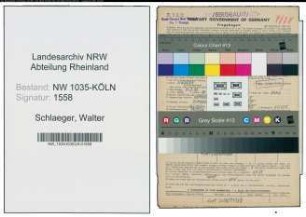 Entnazifizierung Walter Schlaeger , geb. 10.03.1893 (Wiegemeister)