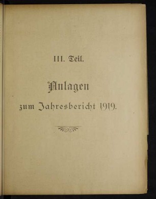 III. Teil. Anlagen zum Jahresbericht 1919.