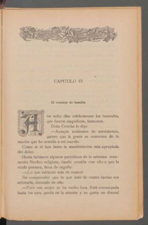 Capítulo VI - El consejo de familia