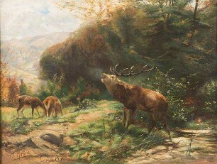 Herbstlandschaft mit Hochwild