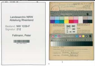 Entnazifizierung Peter Fellmann , geb. 13.09.1907 (Bahnsekretaer)