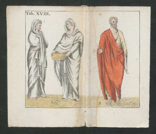 Tab. XVIII.
