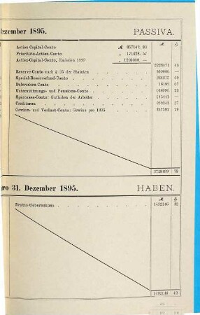 Geschäftsbericht der Mechanischen Seilerwarenfabrik Füssen. 1895. - 1896