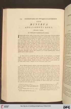 XXIII. Minerva / XXIII. Minerva