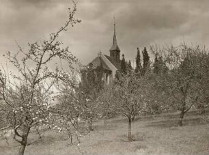 Martinskirche