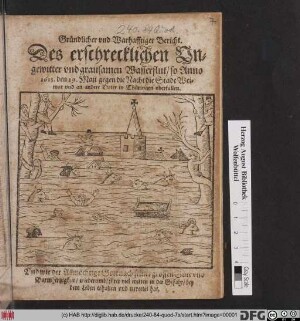 Gründlicher und Warhafftiger Bericht. Des erschrecklichen Ungewitter und grausamen Wasserflut/ so Anno 1613. den 29. Maii ... die Stadt Weimar und andere Orter in Thüringen uberfallen ...