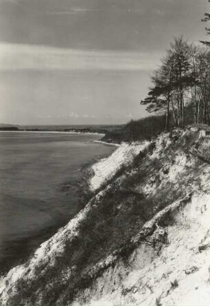 Rügen. Mönchgut. Steilufer am Nordperd bei Göhren. Blick nach Südwest