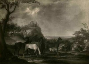 Landschaft bei Zweibrücken mit Pferden