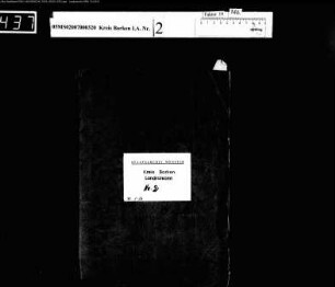 Verfassung des Deutschen Reiches und Wahlen zur Nationalversammlung