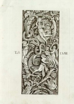 Tab. LVIII.
