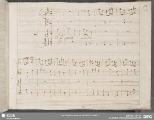 Domenico Scarlatti - Ifigenia in Aulide [1 Arie]