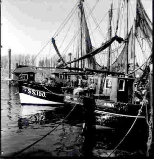 Fischereifahrzeuge im Schulauer Hafen. Zu erkennen die Anna, die Schulau und SS 150