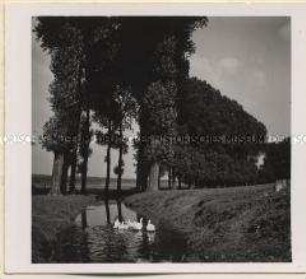 Bergheim, Erftlandschaft
