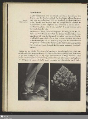 Blumenkohl, Brocolli