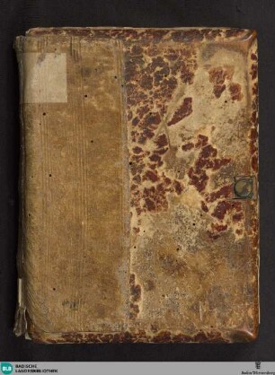 Donaueschinger Wappenbuch - Cod. Donaueschingen 496