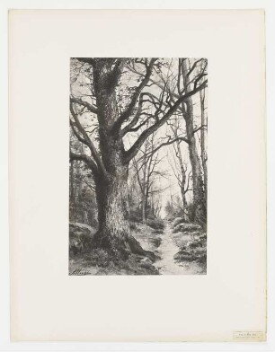 Tronc de chêne (hiver), Blatt 30 der Folge "Le paysage au fusain"