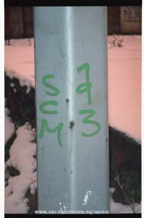 SCM 193