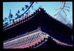 Buddhistisches Haus 15.4.68.