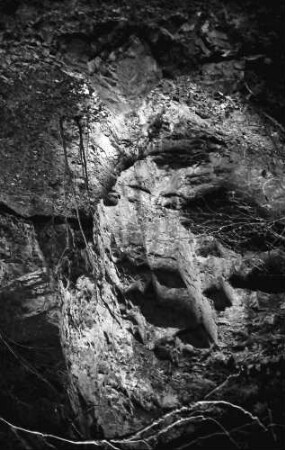 Stallegg: Wutach; geologische Verwerfungen