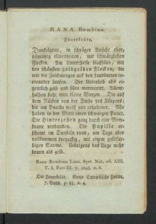 RANA Bombina. Feuerkröte.