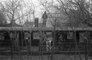 In Berlin Prenzlauer Berg : In Berlin Prenzlauer Berg, S-Bahnhof Bornholmer Strasse