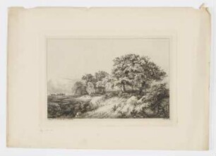 Eichen auf dem Hügel, aus: "Baum-Studien, nach der Natur radiert"