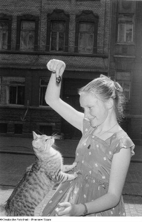 Porträt eines Mädchens mit einer Katze