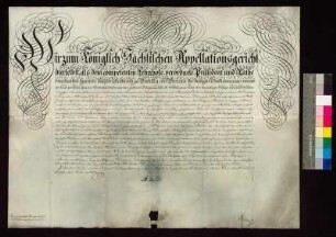 Erburkunde des Königlich Sächsischen Appellationsgerichts zu Bautzen über ein Waldstück bei Wuischke, das vom Rittergut Malschwitz abgetrennt wurde, für die Stadt Bautzen.
