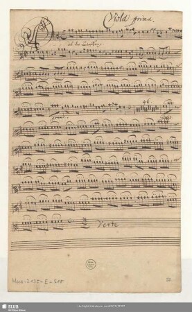 Viola prima.